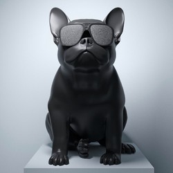 Jarre AeroBull HD 大号斗牛犬 无线蓝牙音响