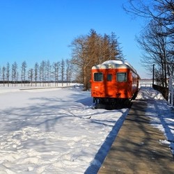 全国多地-日本北海道札幌+二世谷7日滑雪自由行