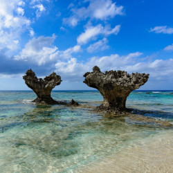 上海领区:日本单次往返旅游签证(冲绳) 5.8元起