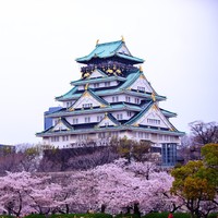 特价机票：上海-日本多地 5/6天往返含税