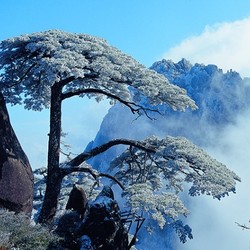 2天1夜黄山万人自驾游 冬季赏黄山别致美景