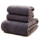 SANLI 三利 长绒棉A类标准 素色良品毛巾2条+浴巾1条  墨灰色 *3件 +凑单品