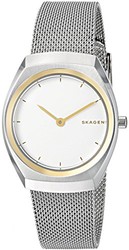 Skagen 诗格恩 Asta SKW2652 女表