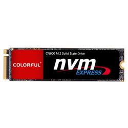 COLORFUL 七彩虹 CN600 M.2 NVMe固态硬盘 120GB