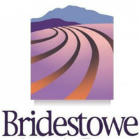 Bridestowe