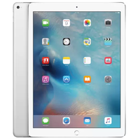 Apple 苹果 iPad Pro WIFI+Cellular 12.9英寸 128GB 平板电脑 