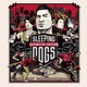  《Sleeping Dogs: Definitive Edition（热血无赖：终极版）》PC数字版动作游戏　