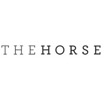 THE HORSE