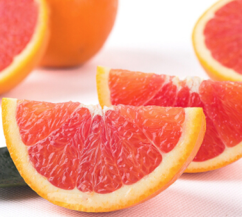 湖北秭归脐橙 中华红血橙 5kg