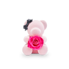 roseonly 甜心熊永生玫瑰公仔 13cm  1215元包邮（需用码）