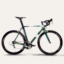FLYING PIGEON 飞鸽 荷香 手工漆绘公路车