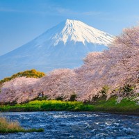 值友专享:日本东京-富士山 拼车一日游