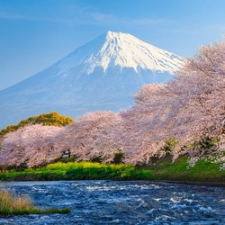 日本东京-富士山 拼车一日游