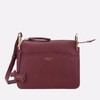 RADLEY RICHMOND PARK 小号女士斜跨包