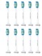 中亚prime会员：PHILIPS 飞利浦 HX6010/30 标准清洁电动牙刷刷头 10支装