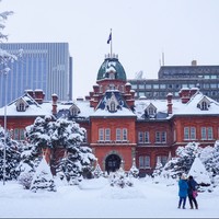 自由行：含樱花季 上海-日本札幌5天4晚