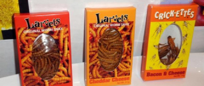  整盅搞怪少不了舌尖上的暗黑系零食推荐榜