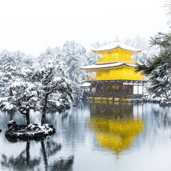 出游必备:北京领区 日本探亲访友签证 400元起