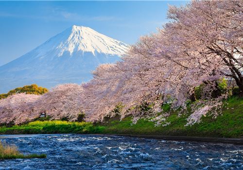 宁波-日本东京+名古屋+富士山5日4晚跟团游