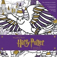 Harry Potter: Winter at Hogwarts: A Magical Colouring Set《哈利 波特：霍格沃茨的冬天：神奇的色彩集》