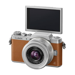 Panasonic 松下 Lumix DMC-GF8KGK 无反套机（12-32mm）