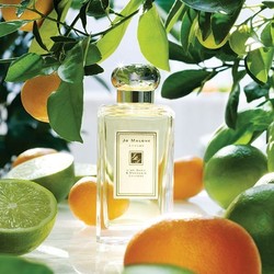 JO MALONE 祖·玛珑 Lime Basil & Mandarin 青柠罗勒与柑橘 中性古龙淡香水 100ml