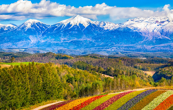 全国多地-日本北海道6天5晚自由行（2晚星野度假村+1晚登别+2晚札幌）