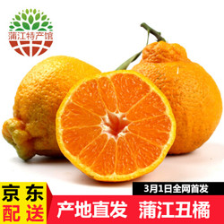 四川蒲江丑柑不知火 2.5kg 9-12个装大果5斤 丑橘 丑八怪