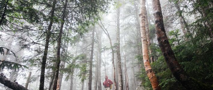  不想变胖纸春天去徒步徒步装备要准备这些