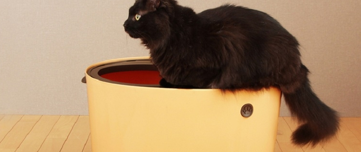  猫主子粑粑超级臭？猫奴可入的好用猫砂盆