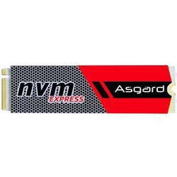 Asgard 阿斯加特 AN系列 256G M.2接口(NVMe协议) SSD固态硬盘 