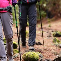 轻松上下山 膝盖不酸疼 户外登山杖推荐