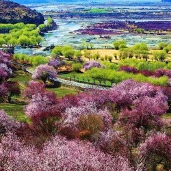 全国多地-西藏林芝+拉萨7天6晚自由行（林进萨出）