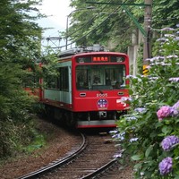 神奈川旅游