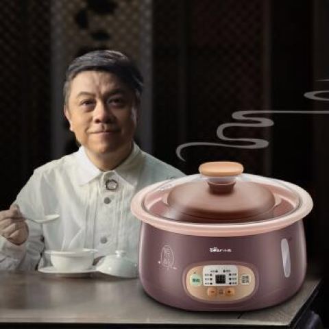 小熊(Bear)电炖锅 紫砂锅汤煮粥锅自动燕窝隔水
