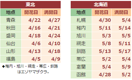 日本樱花已开放 史上最早？