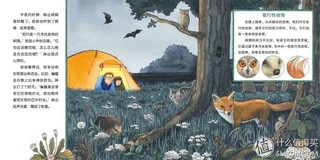  《德国亲子共读儿童百科——阅读鼠系列》（全三辑72册）