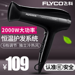 Flyco 飞科 fh6231 电吹风 2000W +凑单品