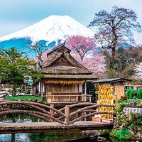 出游必备：日本东京-富士山一日游 奥特莱斯/温泉任选