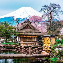 日本东京-富士山一日游 奥特莱斯/温泉任选 