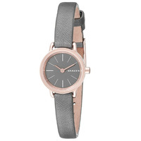 SKAGEN SKW2359 女款时装腕表