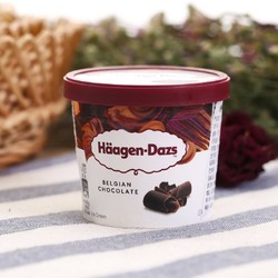 Häagen·Dazs 哈根达斯 比利时巧克力冰淇淋 100ml 杯装