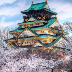 出游必备:上海送签 日本五年多次个人旅游签证