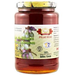 Polar Bear 加拿大蓝莓花蜂蜜1kg 什么值得买 Polar Bear 加拿大蓝莓花蜂蜜1kg 什么值得买