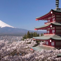 东方航空上海-札幌6天5晚往返含税机票