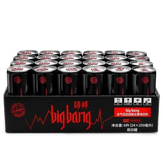 big bang 瓜拉纳复合果味饮料 (混合果味、250ml*24罐)