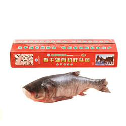 查干湖鱼 冷冻有机胖头鱼 冬捕三号 12.5-13斤+越南黑虎虾400g*2件