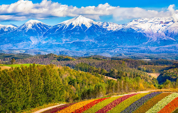 上海-北海道5天4晚跟团游（含1天自由活动+全程高星酒店+高餐标+签证）