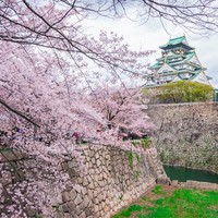 特价机票:武汉-日本东京\/大阪5-7天往返含税机