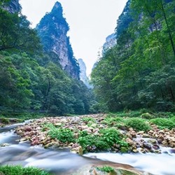 上海-张家界天门山+湘西+凤凰5天4晚跟团游